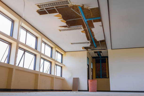 Best Water damage restoration cost  in North Lakeport, CA