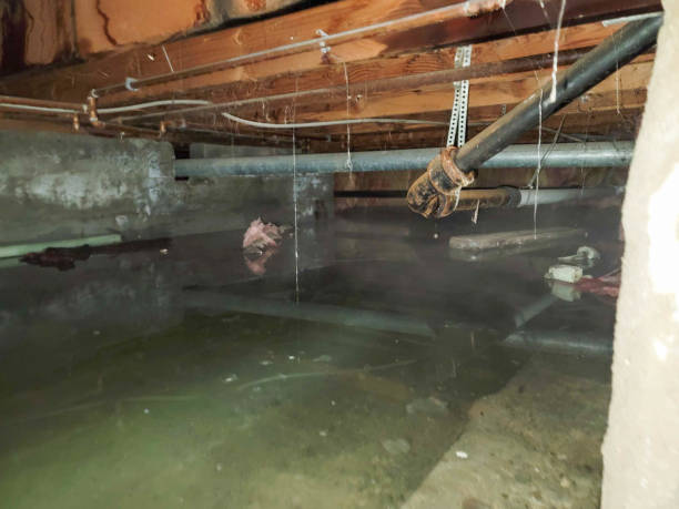Best Water damage restoration near me  in North Lakeport, CA