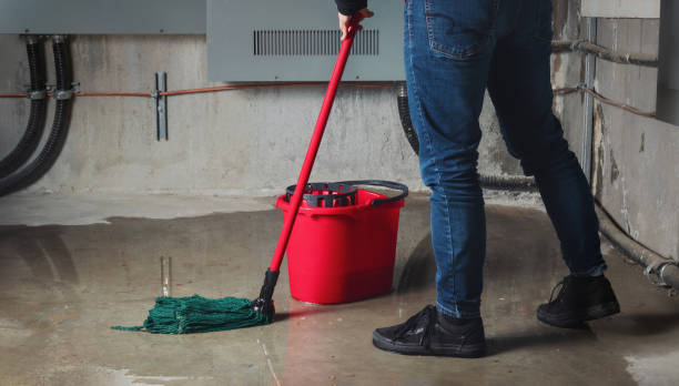 Best Fire Damage Restoration  in North Lakeport, CA