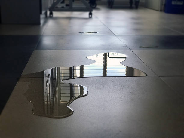 Best 24-hour water damage restoration  in North Lakeport, CA