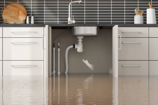 Best 24/7 water damage repair  in North Lakeport, CA