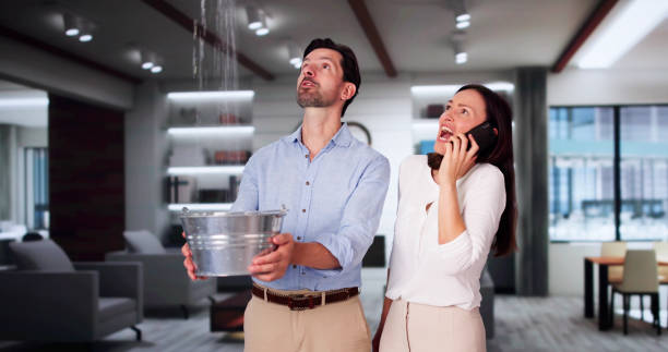 Best Water damage repair service  in North Lakeport, CA